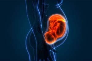 Department of Obstetrics & Gynecology